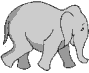 running-elephant running-elephant